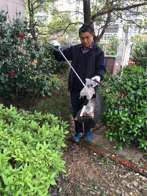 控制鼠害、預(yù)防疾病，構(gòu)建和諧文明社區(qū)